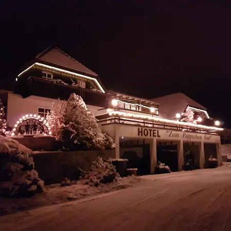 Hotel Zum Poppschen Gut-2