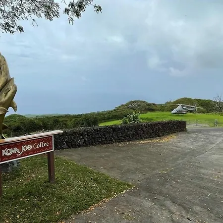 Kona Joe Coffee Farm-2