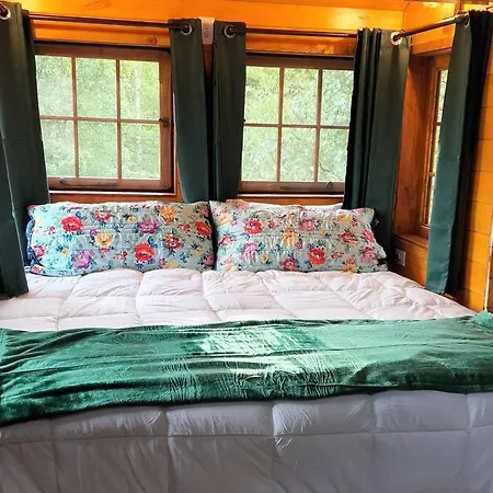 The Eagle'S Nest Treehouse Cabin-2