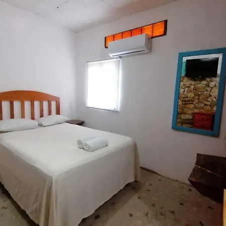 Casa Tortuga Azul-2