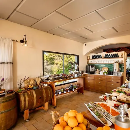 Amirey Hagalil Boutique Hotel-3
