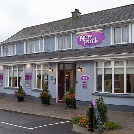 New Park Hotel Athenry-2