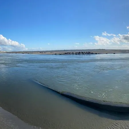 Coté Dune-2