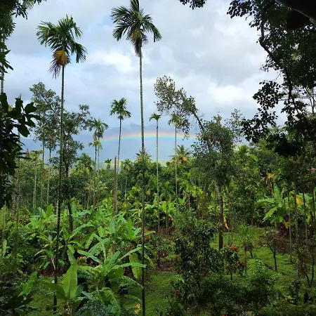 Vanajyotsna Forest Home-3