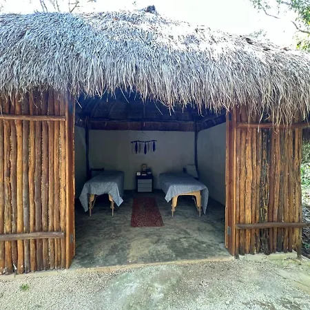 Hotel Boutique Cenote Secreto Maya-3