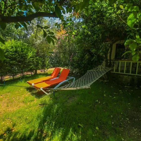 Villa Zeytin-3