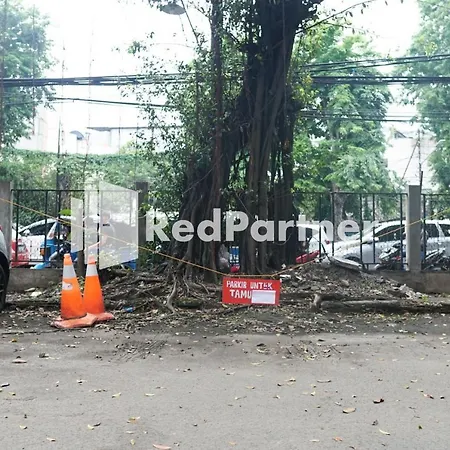 Cosmo Harmoni Redpartner-3