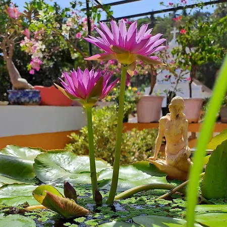 Afonso Guest House - Fontainhas-2