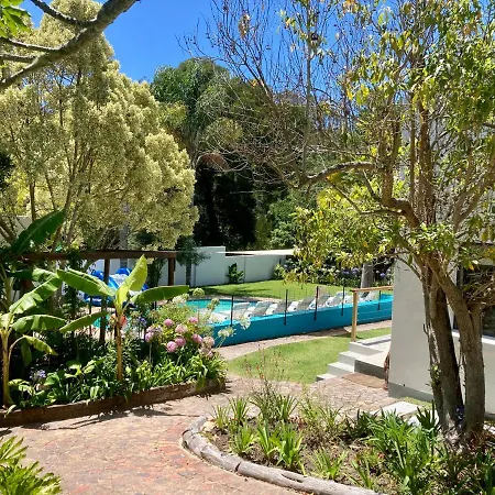 Tonquani - Knysna - Private Forest Retreat And Cottages-3