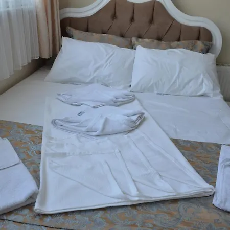 Tabriz Hotel-2