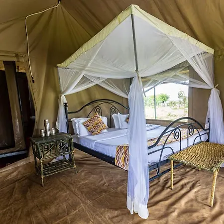 Serengeti Wild Camp-2
