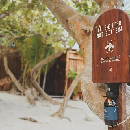 Astral Tulum-3
