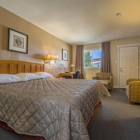 Alpine Motor Inn-3