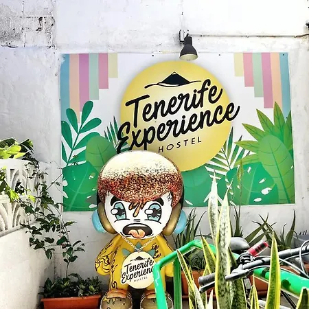 Tenerife Experience Hostel-2