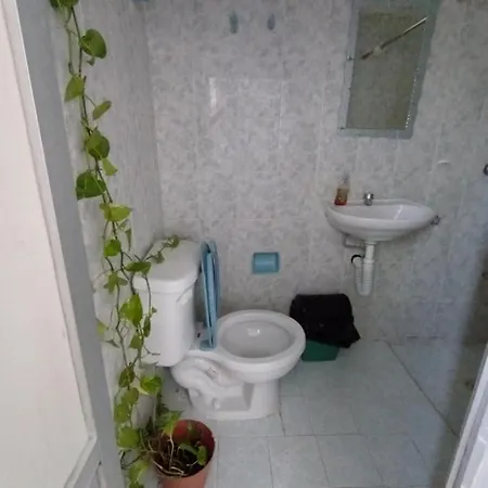 casa bambú-3
