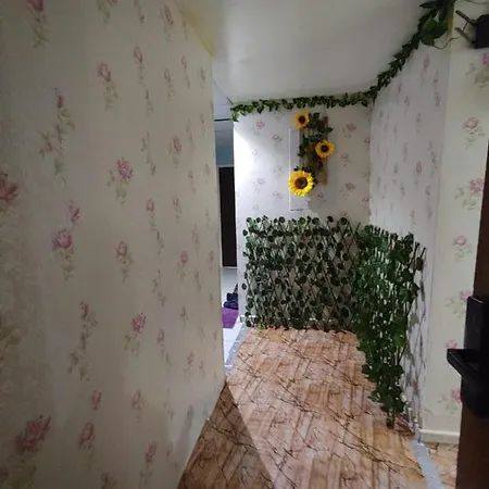 Second Home-2