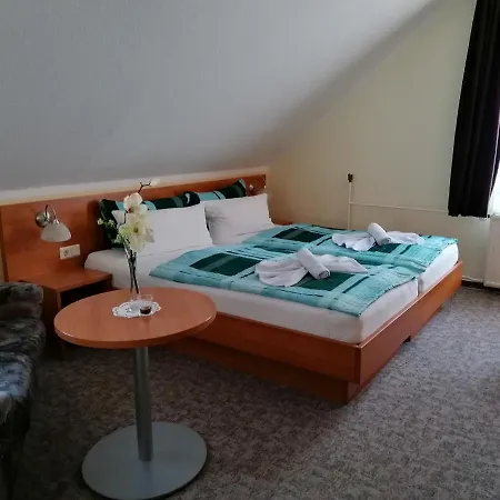 Hotel Garni zum Goldenen Ring-3