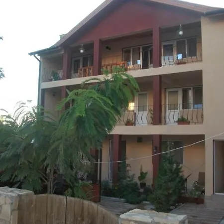Pensiunea Sellina-2