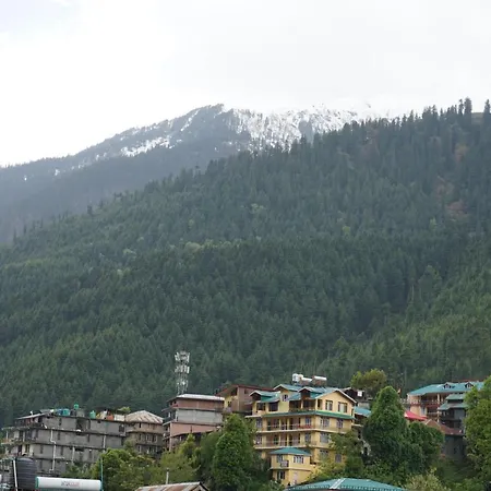 Hotel Magnolia Mallroad Manali-3