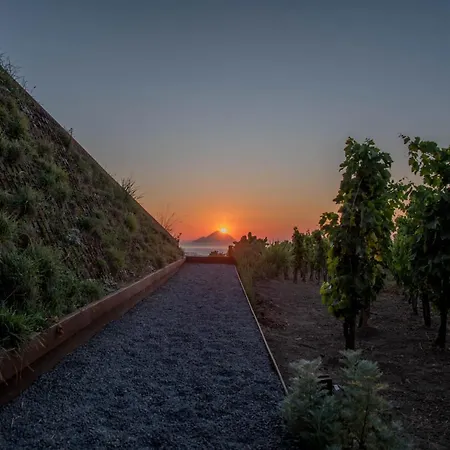 Tenuta Di Castellaro Winery & Resort-2