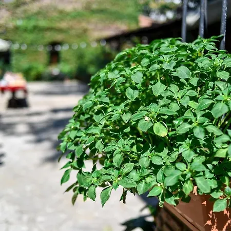 Tiflis Hotel-2