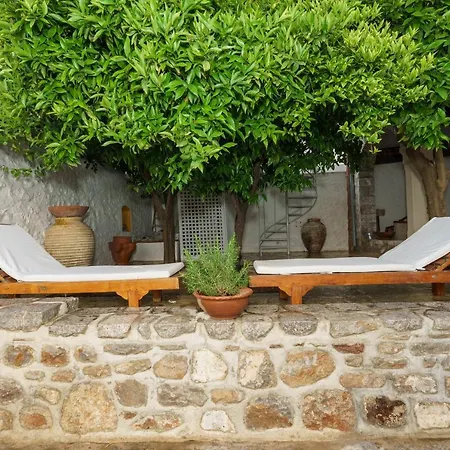 Livin Hydra Garden Suite-3