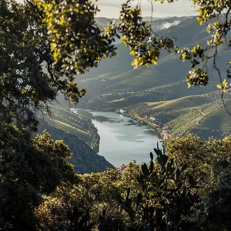 Original Douro Hotel-2