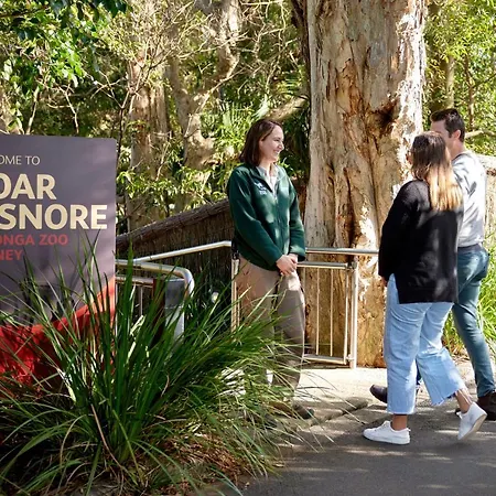 Roar And Snore-3