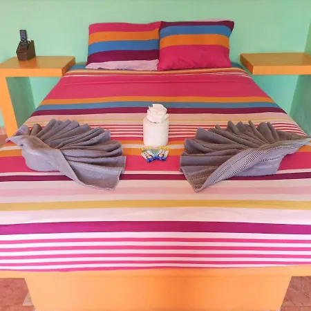 El Ultimo Maya-3