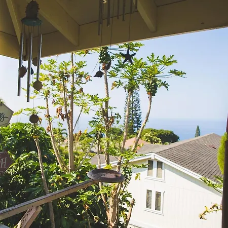 Kona Hawaii Guest House A Unique Hawaii Experience-3