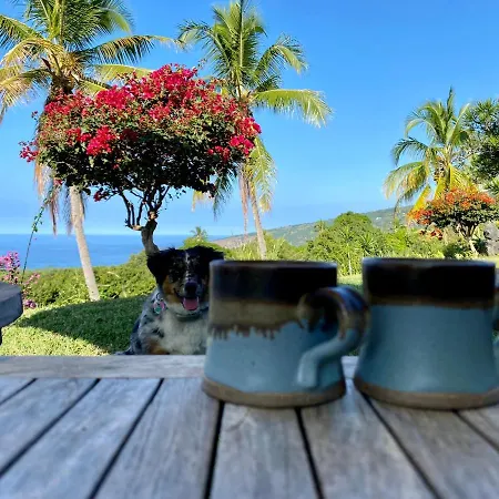 Kona Bayview Inn-3