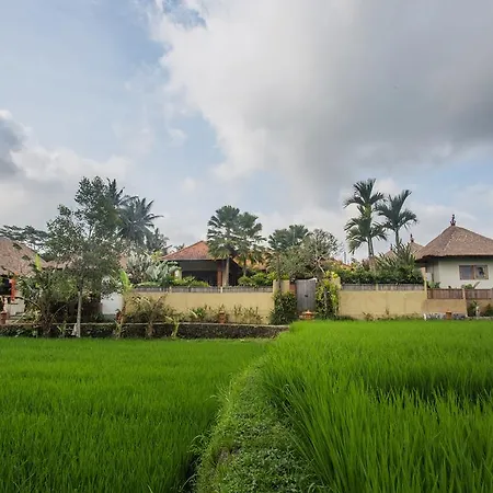 Ubud Luwih Nature Retreat-3
