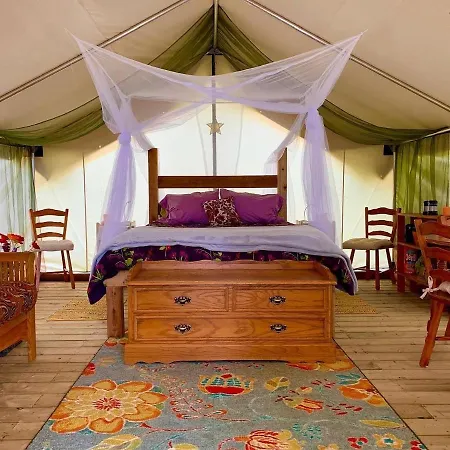 So Damn Lucky Glamping-2