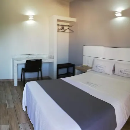 Hotel Gallo-3