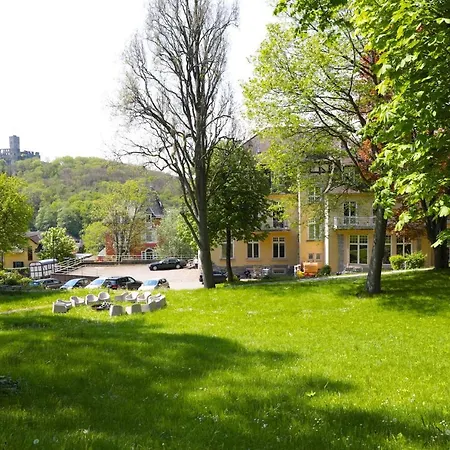 Das Kohnstamm-2
