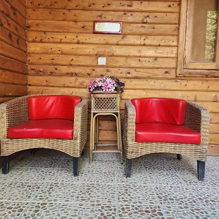 The Chalets Naldehra-3