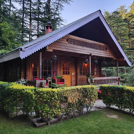The Chalets Naldehra-2