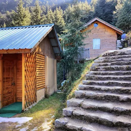 Mid Conifer Cottage-2