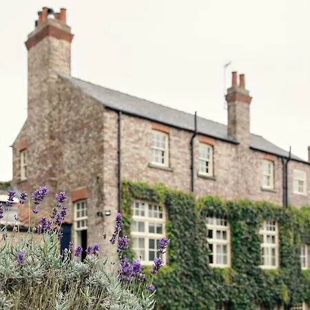 The White Swan Inn-2