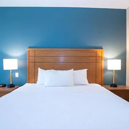Sandman Hotel And Suites Squamish-2