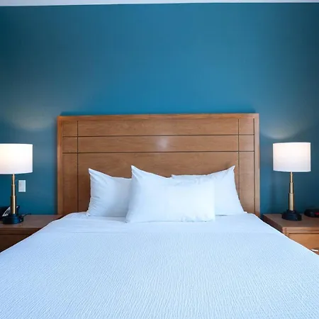 Sandman Hotel And Suites Squamish-2