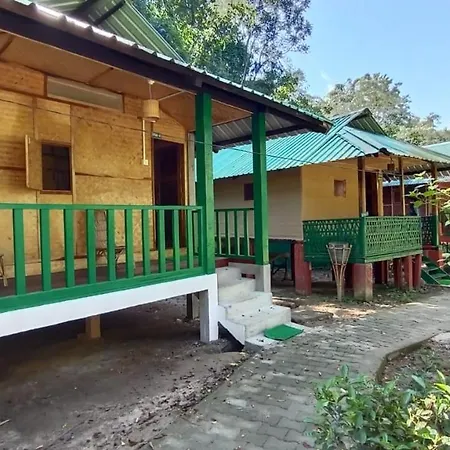 Nature Hunt Eco Camp-2