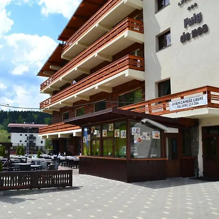 Cabana Fulg De Nea Predeal-3