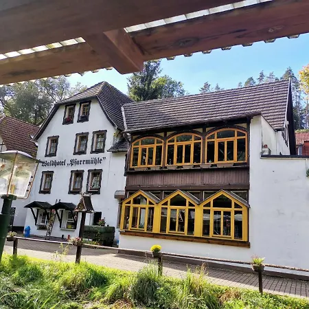 Waldhotel Pfarrmühle-2