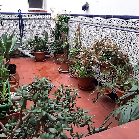 Sotel Valle Guadiaro-3