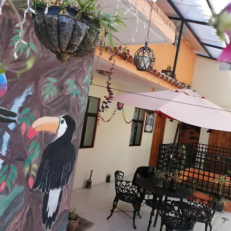 Hotel Amayal-2