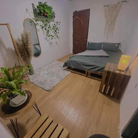 Pity House-2