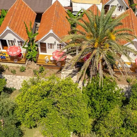 Clover Magic Nova Beach Hotel-2
