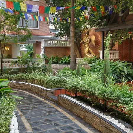 Hotel Thrive, A Tropical Courtyard-3