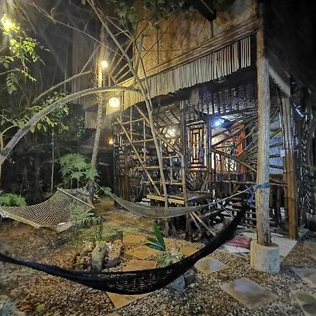Bamboo Nest-3